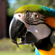 Image for article titled Shooting Challenge: Focus Stacking Gallery